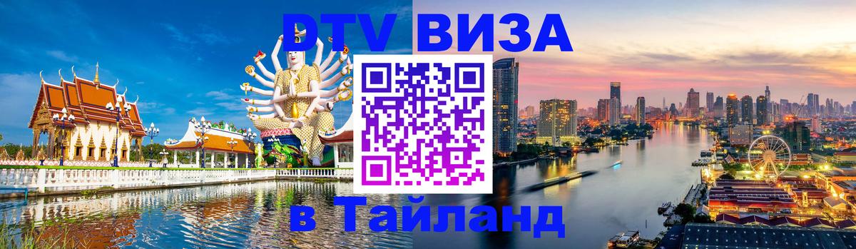 Оформление DTV визы под ключ: стоимость и тарифы, только загранпаспорт - 18.11.2025 